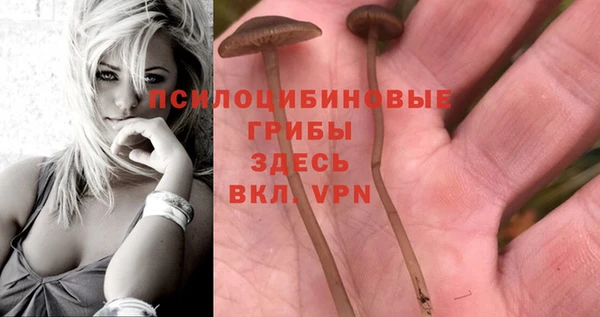 метадон Киренск