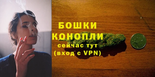 ALPHA PVP Кинешма