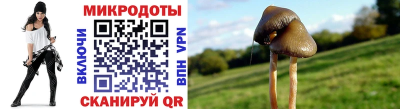 Псилоцибиновые грибы ЛСД  OMG как зайти  Куртамыш 